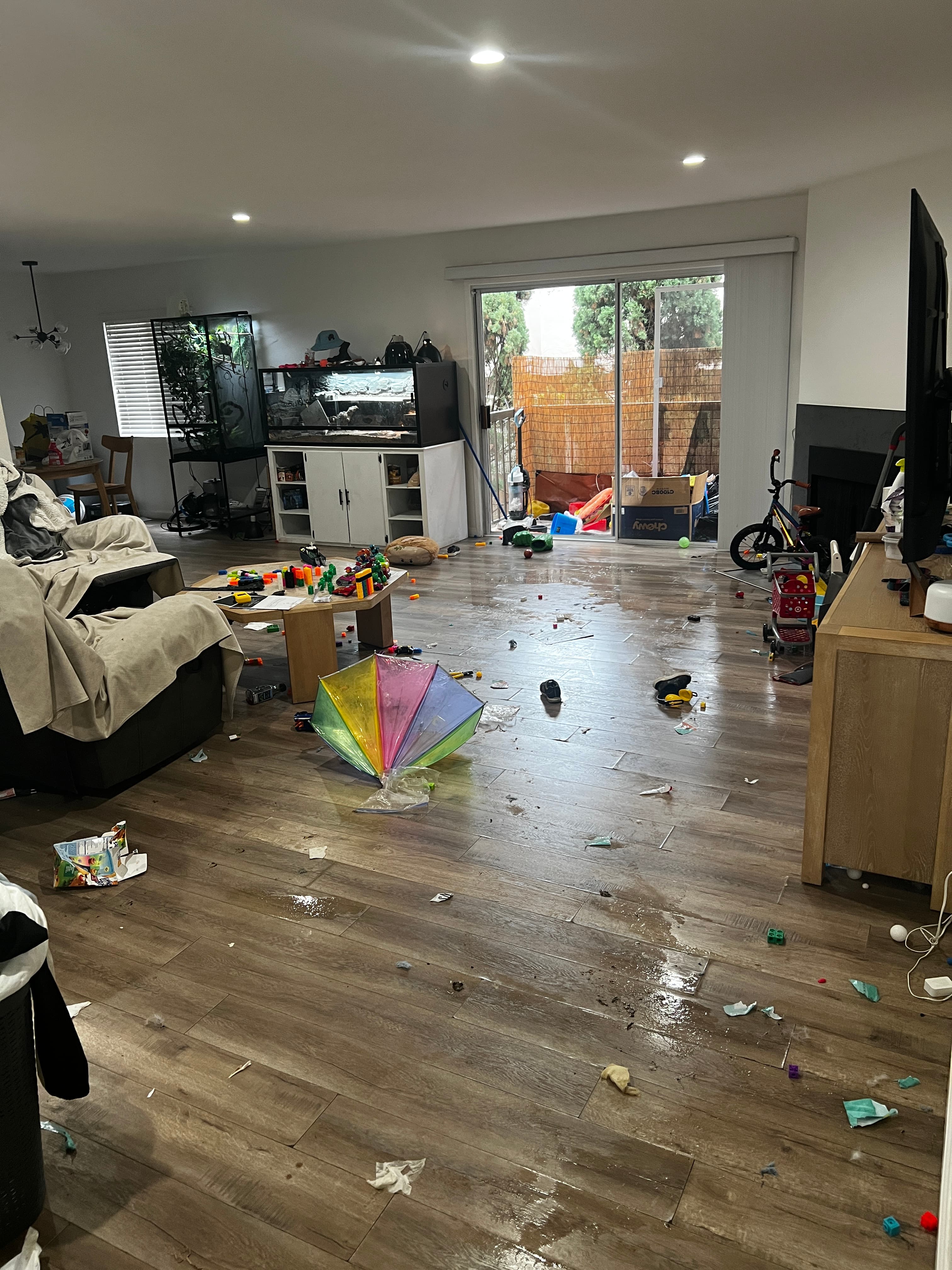 Living room before StudioScrubz cleaning service